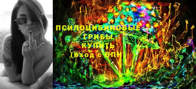 Галлюциногенные грибы Magic Shrooms  Бузулук 